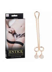 Entice Clip bijou de lèvres Crystal Intimate