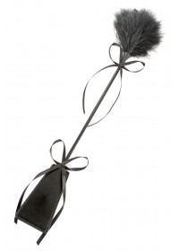 Tapette coquine avec tapette plate et plume de l'autre coté