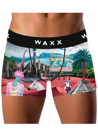 Boxer homme Waxx New World