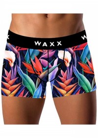 Boxer homme Waxx Amazone
