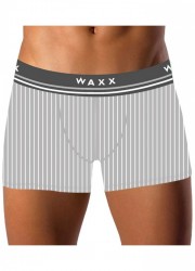 Boxer homme Waxx Modal Paris Grey