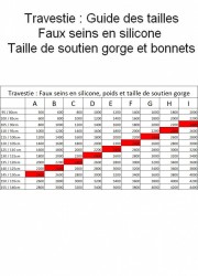Prothèses seins ovale silicone 2400grs Taille 105I-110H-115G-120F-125E