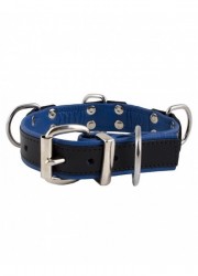 collier homme cuir bicolor 4 anneaux D métal bleu-MisterB