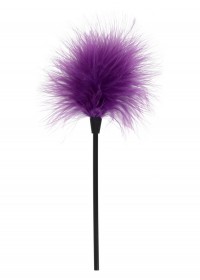 Plumeau violet Sexy Feather Tickler