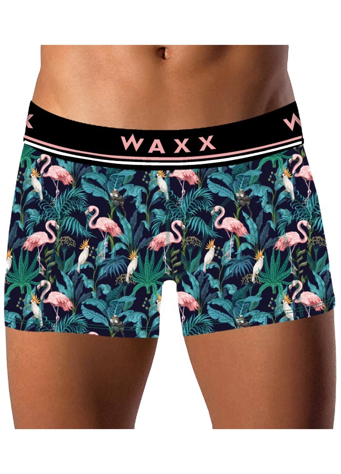 Boxer homme Waxx Flamingo sophie libertine