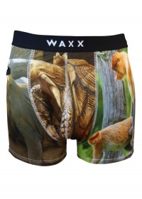 Boxer caleçon homme Waxx Animals