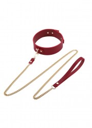 Sac Malette accessoires BDSM-collier-laisse-bordeaux-or
