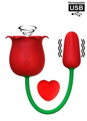 Fleur aspire clito & Oeuf vibrant Rechargeable avec télécommande rouge