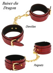Menottes Baiser du Dragon Vinyls Rouge & Or - Femme - Poignets-Chevilles