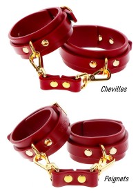 Taboom Menottes Poignets & Chevilles - Bordeaux & Or