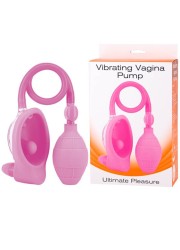 Développeur vulve vibrant Vagina pump rose