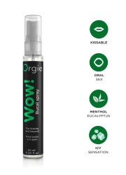 Rafraîchissez vos baisers avec ce spray buccal menthe : goût intense, plaisir piquant.