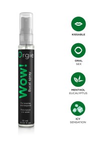 Rafraîchissez vos baisers avec ce spray buccal menthe : goût intense, plaisir piquant.