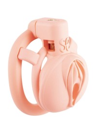 Cage de chasteté de petite taille conçu pour écraser le pénis Sophie Libertine Vannes