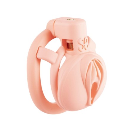 Cage de chasteté de petite taille conçu pour écraser le pénis Sophie Libertine Vannes