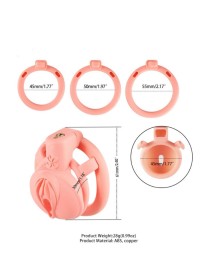 Cage de chasteté plate pour pénis avec différentes tailles d'anneaux