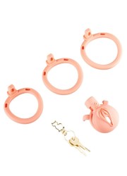 Présentation d'une cage de chasteté plate en forme de vulve pour féminiser un homme soumis