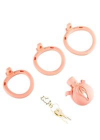 Présentation d'une cage de chasteté plate en forme de vulve pour féminiser un homme soumis