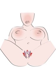 facilite l’accès au clitoris et la précision des stimulations, mettant parfaitement en valeur les zones les plus sensibles