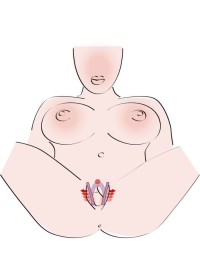 facilite l’accès au clitoris et la précision des stimulations, mettant parfaitement en valeur les zones les plus sensibles