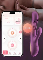 Application smartphone : contrôle à distance, commande vocale & musicale - Sophie Libertine Vannes