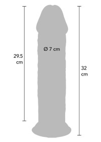 Gode ventouse en 7cm de large - Matière Dual density touché réaliste en vente chez Sophie Libertine Vannes