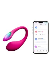 vibromasseur interne et externe avec contrôle longue distance et vibration intense en vente chez sophielibertine en bretagne