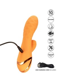 Rabbit pour femme Calexotics Newport Beach babe