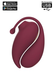 Pack avec deux sextoys un oeuf vibrant télécommandé et rechargeable et un stimulateur par aspiration