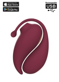 Pack avec deux sextoys un oeuf vibrant télécommandé et rechargeable et un stimulateur par aspiration