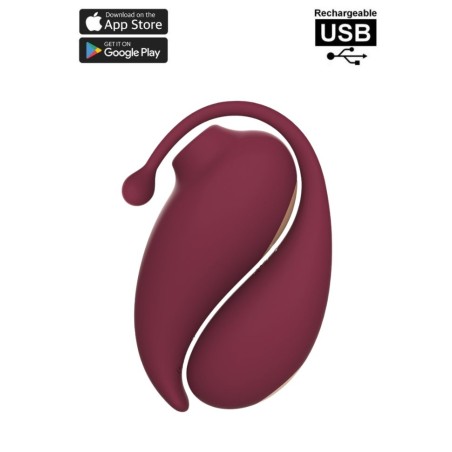 Pack avec deux sextoys un oeuf vibrant télécommandé et rechargeable et un stimulateur par aspiration