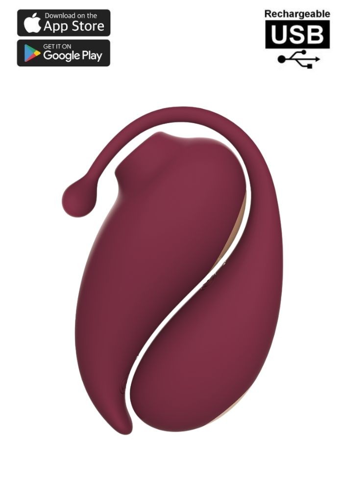 Pack avec deux sextoys un oeuf vibrant télécommandé et rechargeable et un stimulateur par aspiration