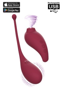 Coffret de deux sextoys connecté sur le téléphone - Adrien Lastic en vente à Vannes