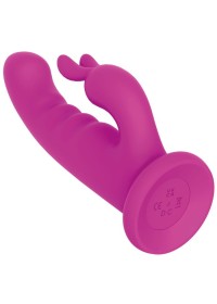 Double stimulation Playhouse Delight Rabbit chez Sophie Libertine Vannes