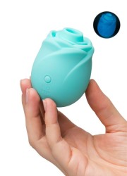 Fleur de stimulation pour le clitoris qui brille dans le noir - joli sextoy à petit prix