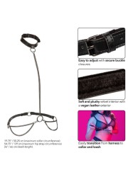 Harnais BDSM grande taille avec collier et laisse - Calexotics Sophie Libertine Vannes