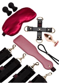 La selection bondage du calendrier de l’Avent sextoy Womanizer We-Vibe Chez Sophie Libertine, votre sexshop breton